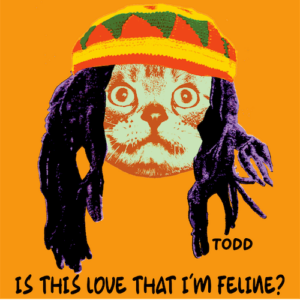 Is This Love That I'm Feline?