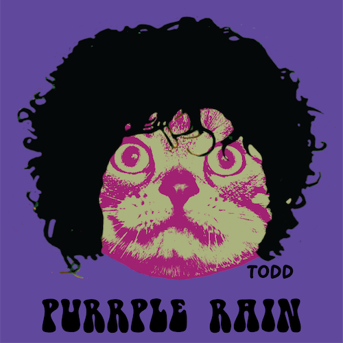 Todd Goldman