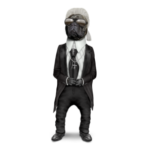 Pets Rock - Fashion