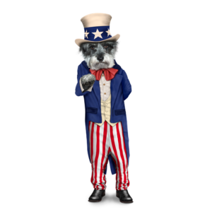 Pets Rock - Uncle Sam
