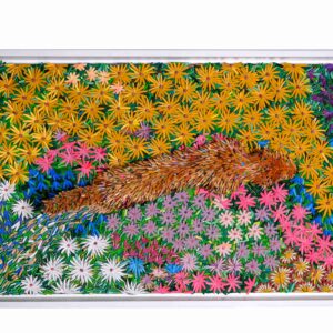 Wildflower Walk