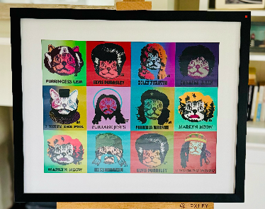 cat faces