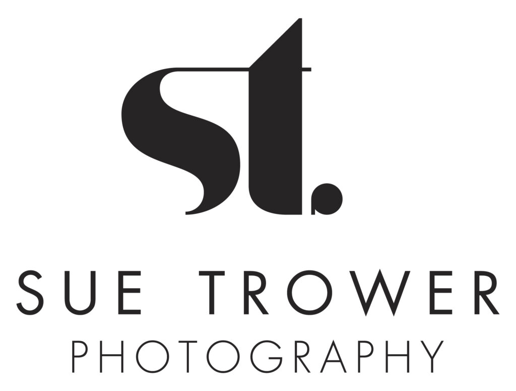 Logo 2